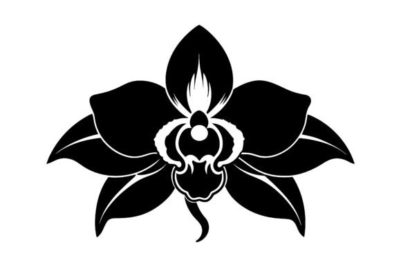 Venezuela Flower Silhouette Design: A Versatile Creative Asset